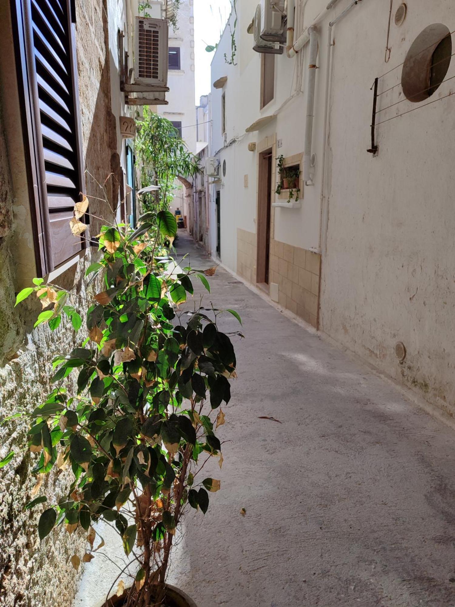B&B Punta Cutieri Gallipoli Buitenkant foto