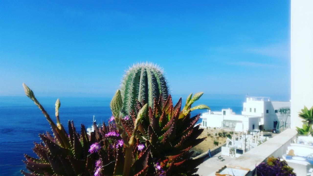 B&B Punta Cutieri Gallipoli Buitenkant foto