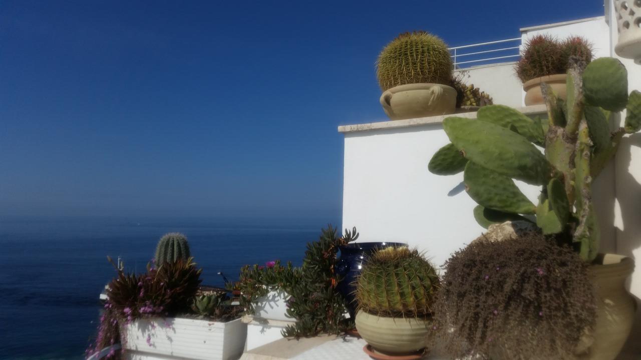 B&B Punta Cutieri Gallipoli Buitenkant foto