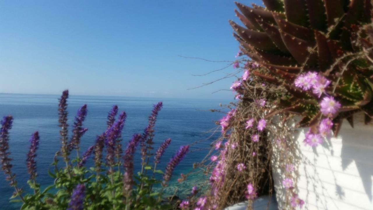 B&B Punta Cutieri Gallipoli Buitenkant foto